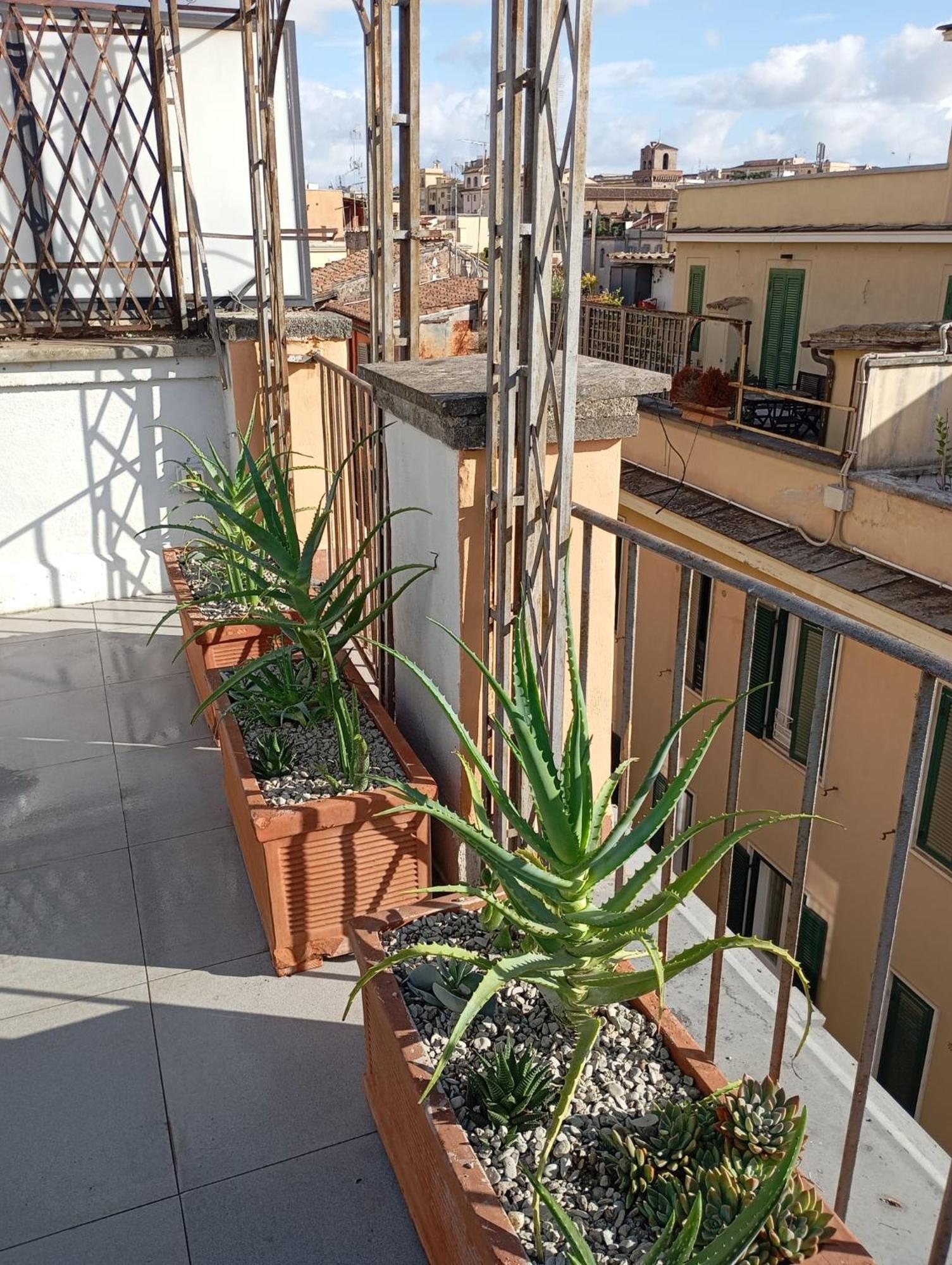 Colosseum Exclusive Duplex Рим Екстериор снимка